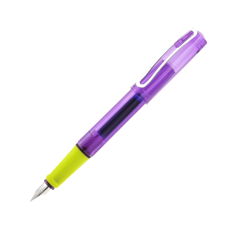 Fine fountain pen